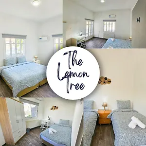 Hostel The Lemon Tree Larnaca